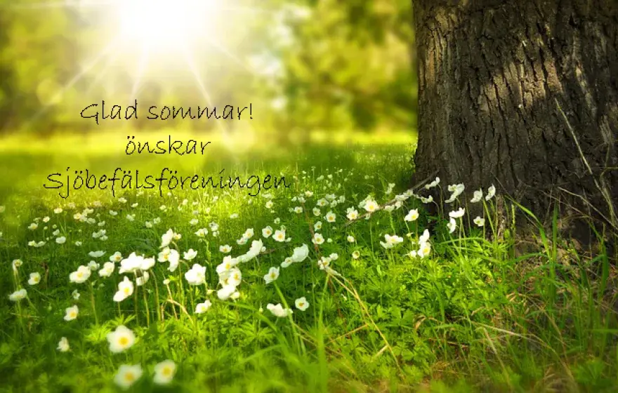 Glad sommar