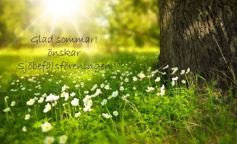 Glad sommar